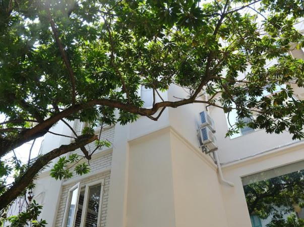 Le Petit Hanoi Bagian luar foto